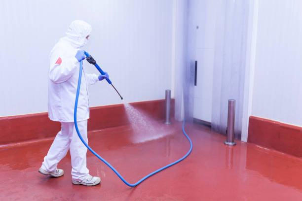 Best Winterizing Services  in Sanibel, FL
